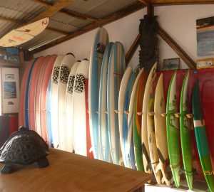 Surfboards & Equipment Hire