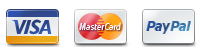 Surfing Services accepts Visa Mastercard and PayPal